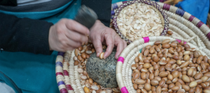 argan, argan olie, arganolie, argan oil, argan, wat is argan, argan olie haar, arganolie haar, gezondheidswinkel, natuurwinkel, biologische winkel, gezondheidswinkel online, reform winkel, natuur winkel, biologische winkel in de buurt, reformwinkel, reform winkel, biologische winkel online, online biologische winkel, biologische web winkel, arganolie kopen,